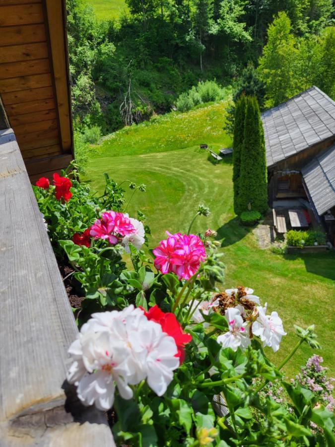 Appartements Hoeller Sankt Lorenzen ob Murau Exteriör bild